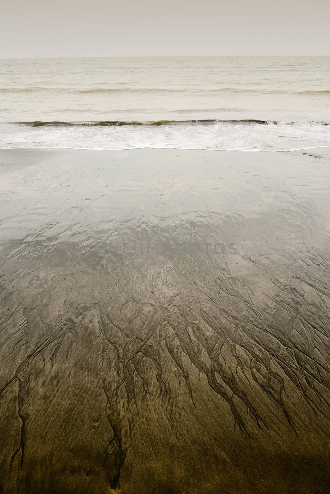 Landscape of yellow beach with beautiful texture in bad weather.