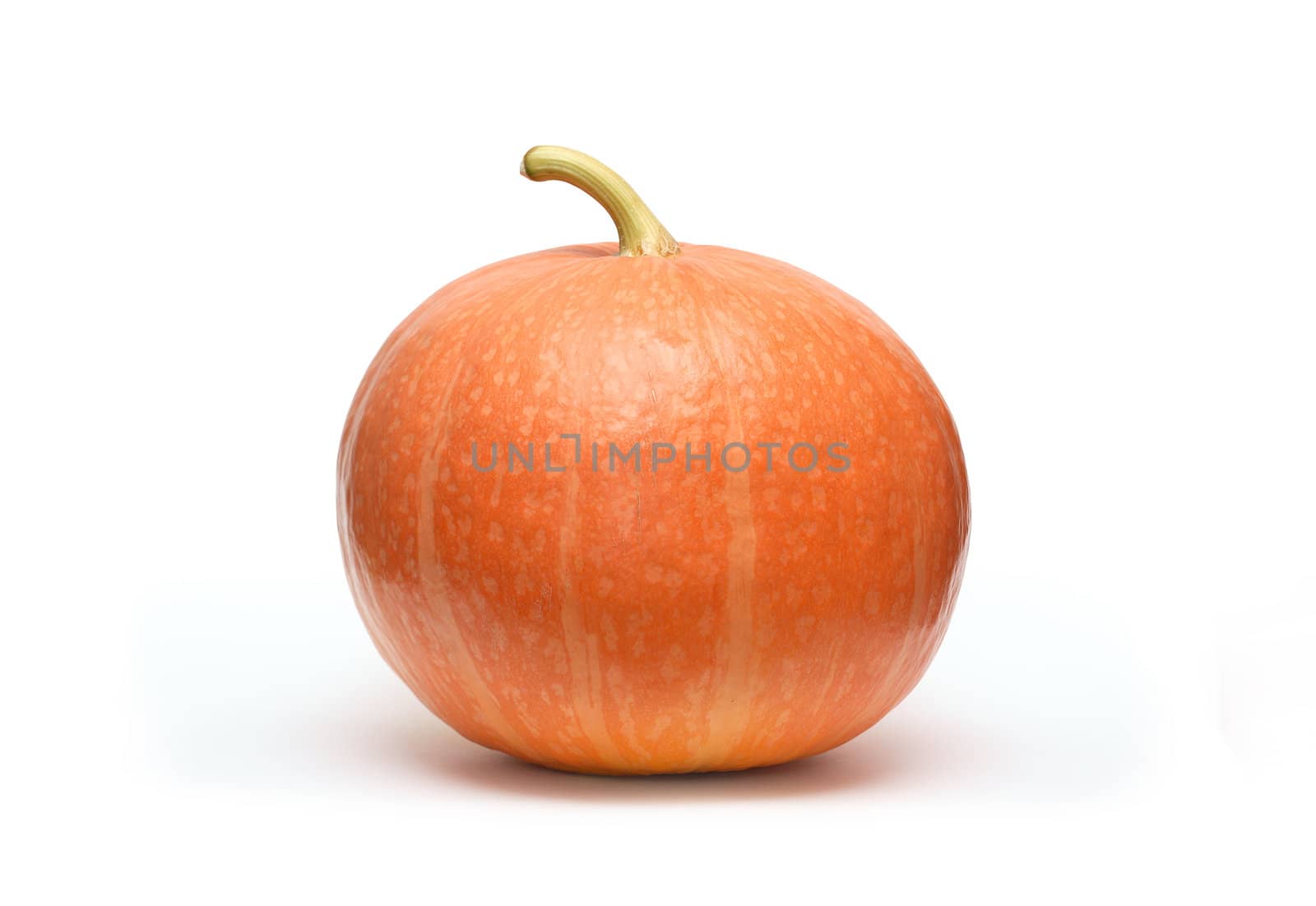 Big ginger pumpkin isolated on white background with clipping path