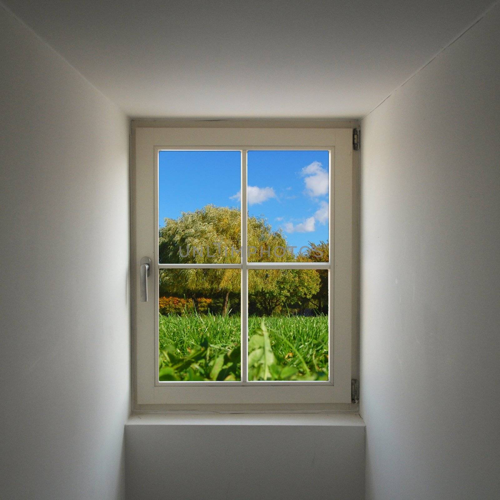 view to summer nature concept with window and copyspace