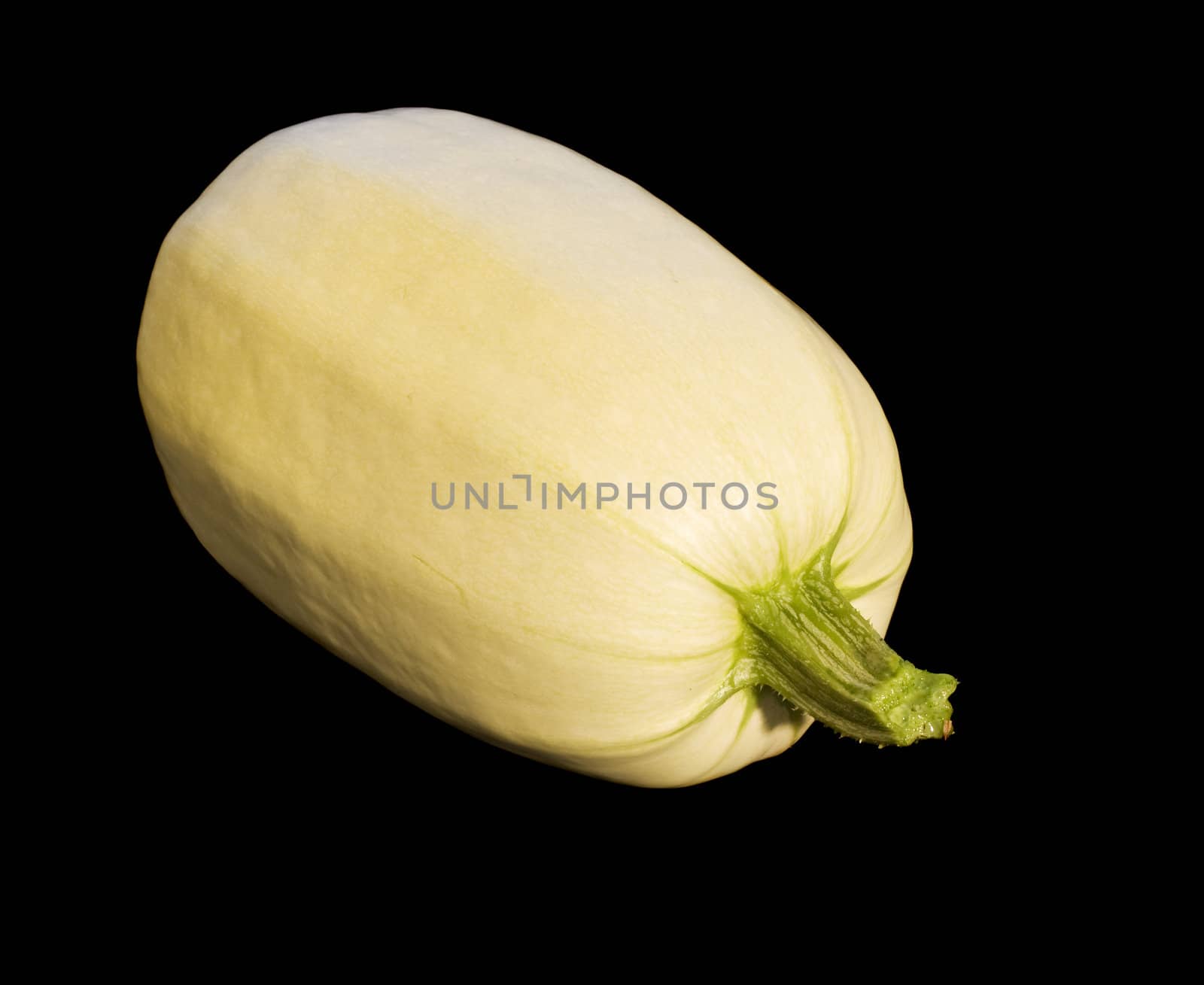 organic vegetable spaghetti squash Cucurbita pepo over black background