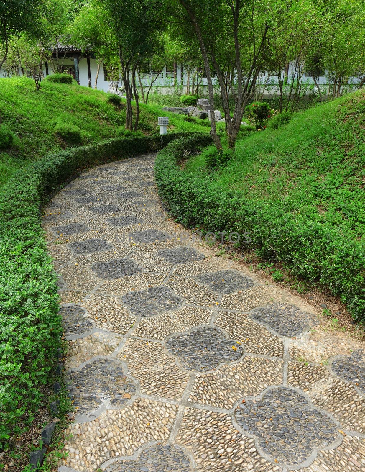 path in chinese garden