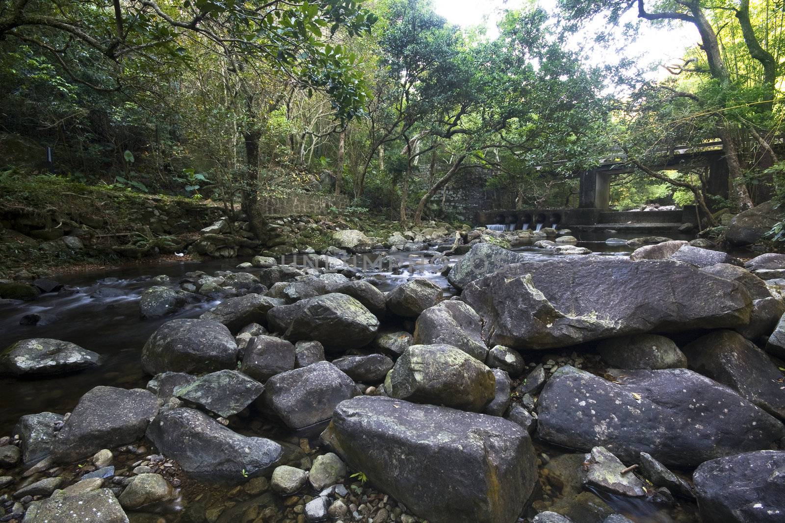 Cascade falls over mossy rocks