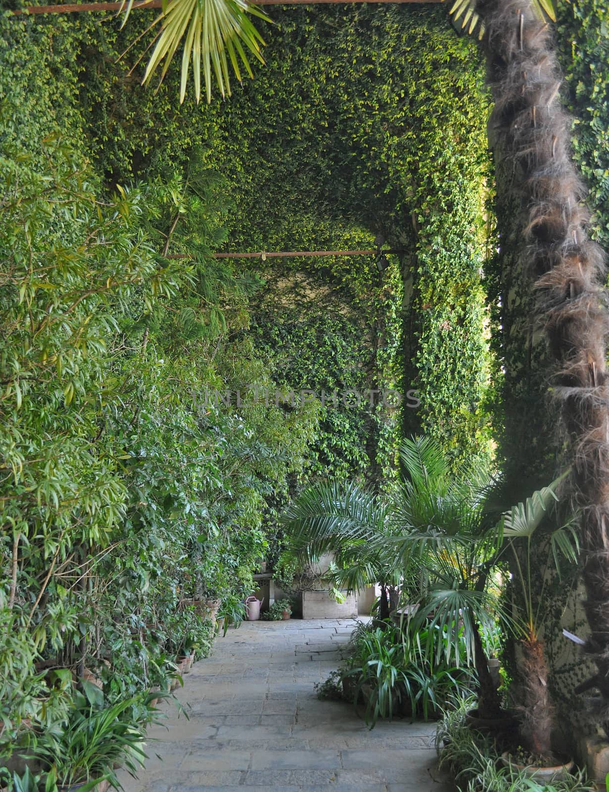A botanical garden with many species of plants and trees