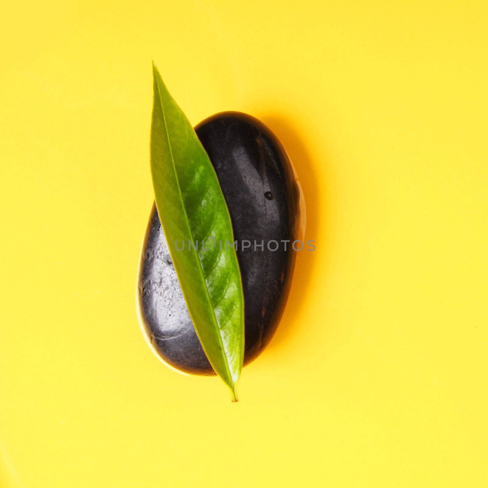 zen stone leaf and yellow copyspace showing spa concept