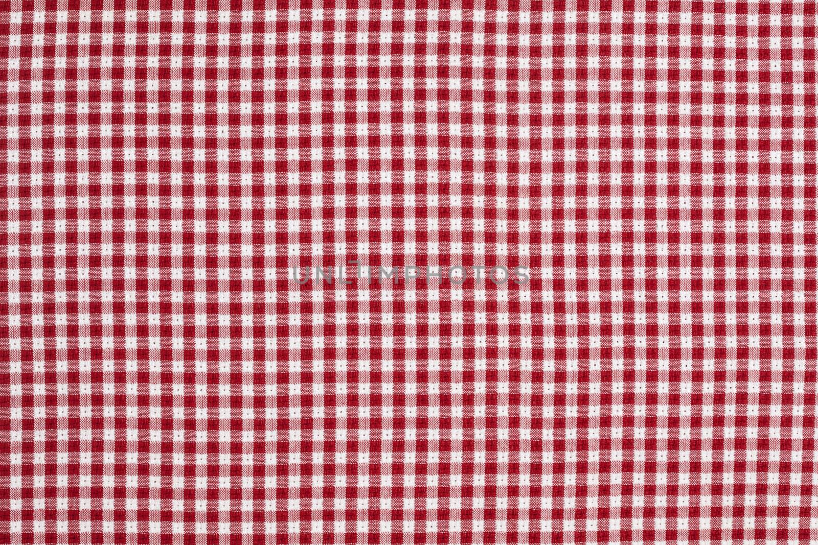 Red and White Checkered Picnic Blanket Tablecloth Detail