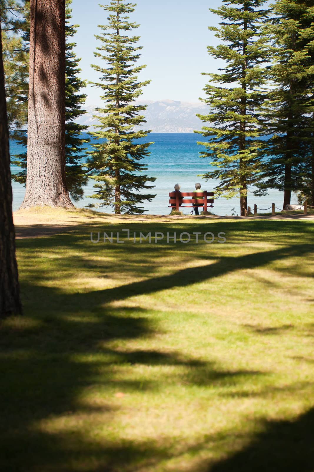 Senior Women Sitting and Enjoying Forest Lake View from Bench.