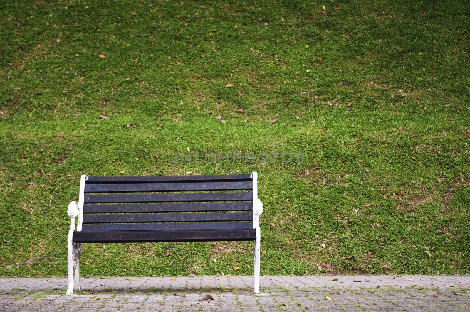 a single bench in a park, waiting for someone.