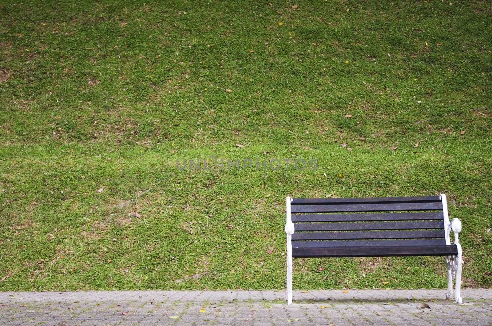 a single bench in a park, waiting for someone.