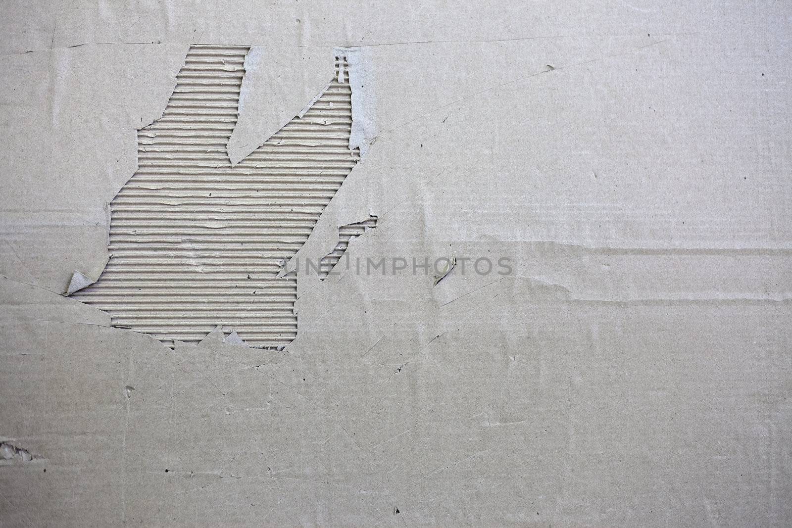 The oThe old torn cardboard banner, in monochromeld torn cardboard banner, in monochrome