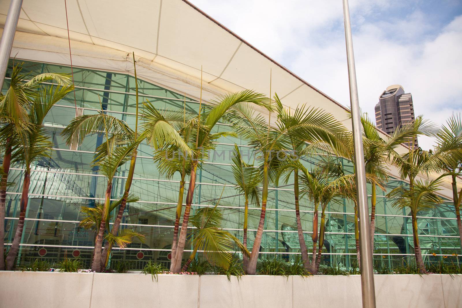San Diego Convention Center Building Architectural Abstract.