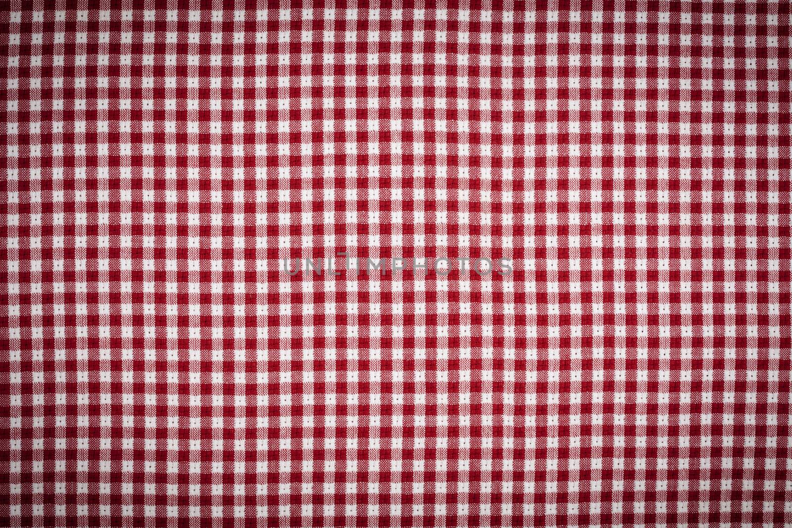 Red and White Gingham Checkered Picnic Blanket Tablecloth Background with Vignette.