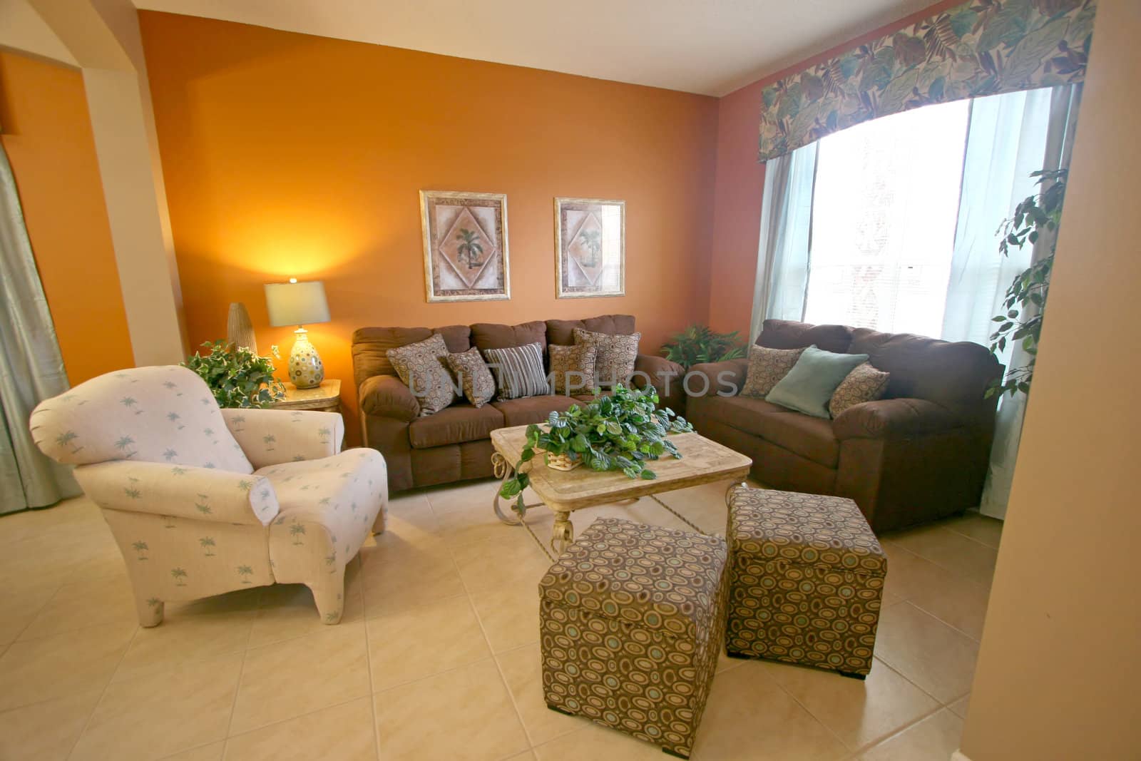 An Interior Living Room of a Home