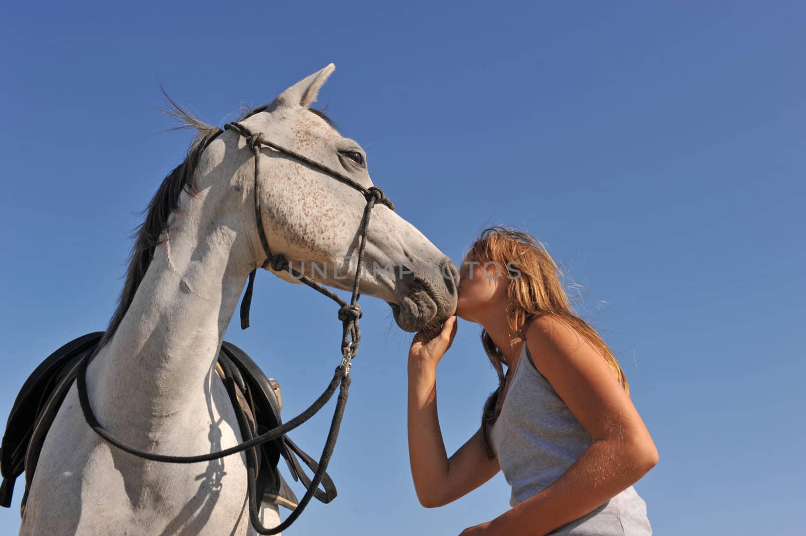 young teenager kissing her gray arabian horse on a blue sky