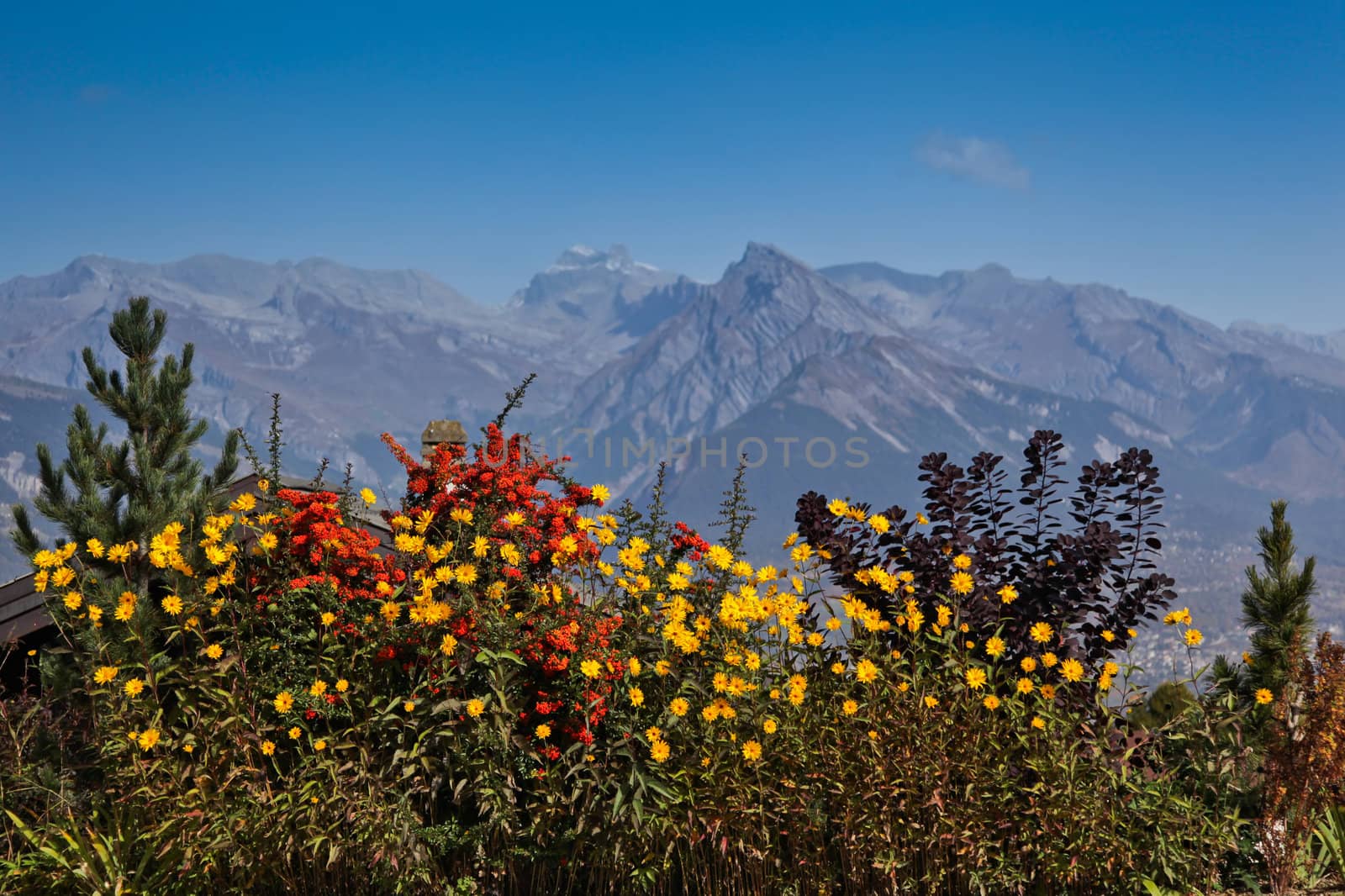Beautiful view of Swiss Alps in autumn