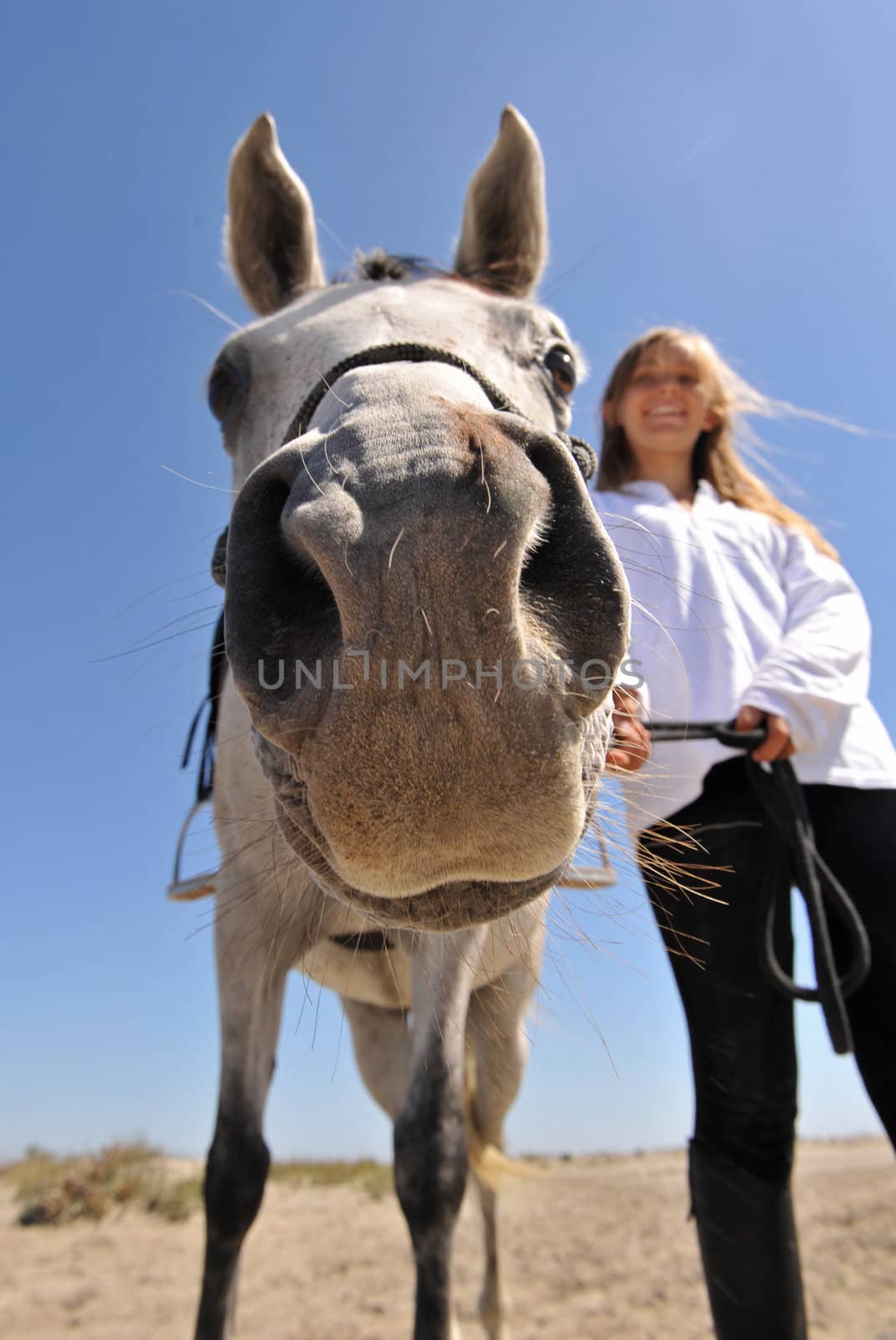 humoristic picture of a smiling teen and her arab horse, focus on the nose