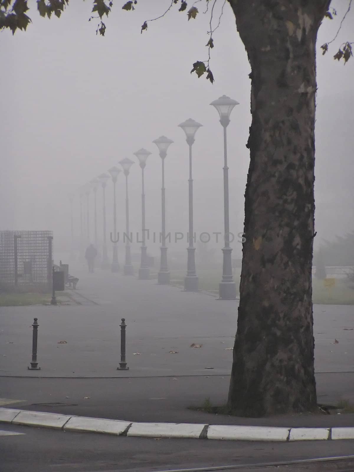 Foggy Morning by penta