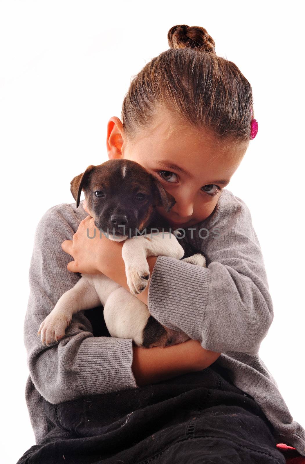 little girl and her puppy purebred jack russel terrier