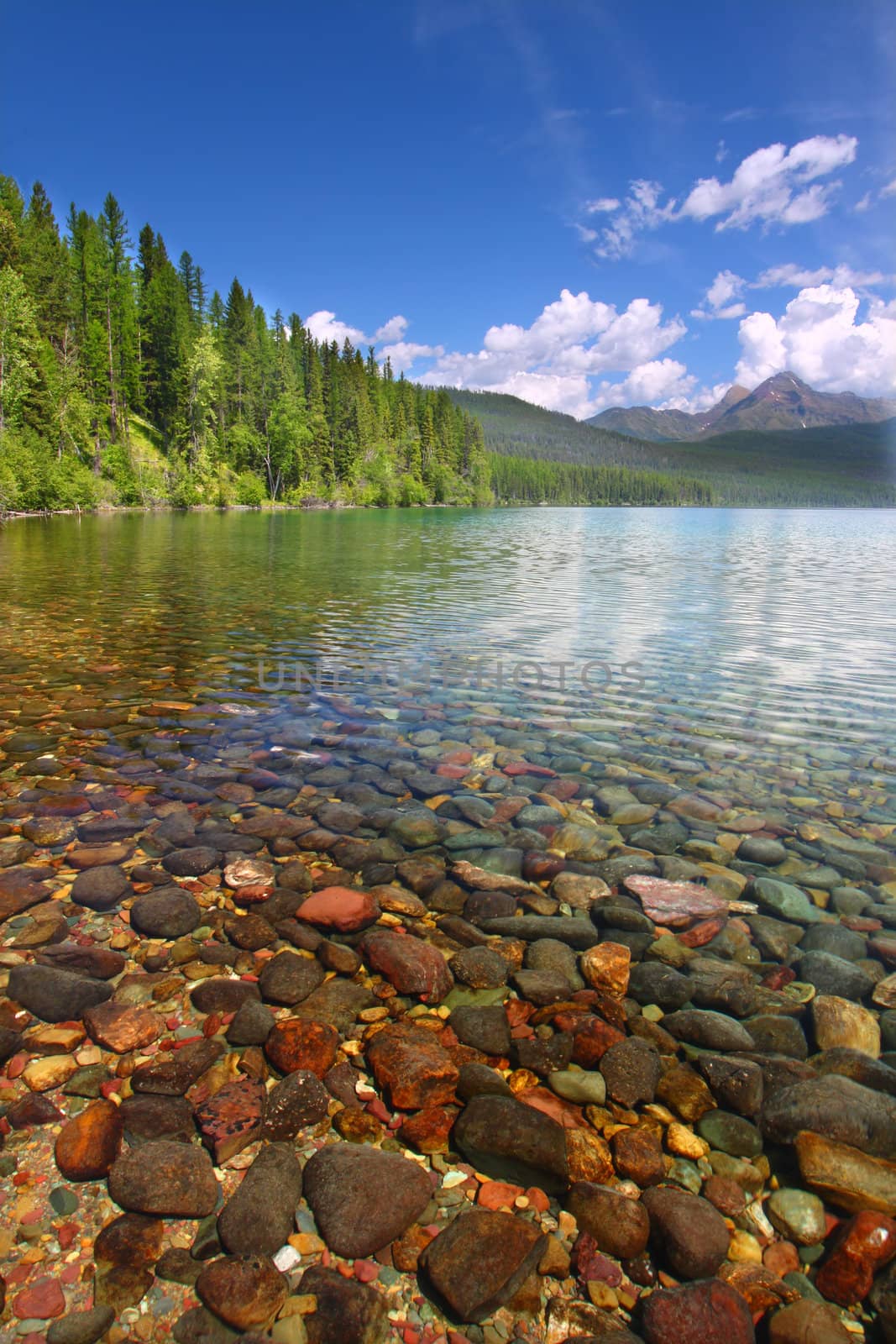 Pretty rocks seen through the crystal clear waters of Kintla Lake in Glacier National Park - USA.