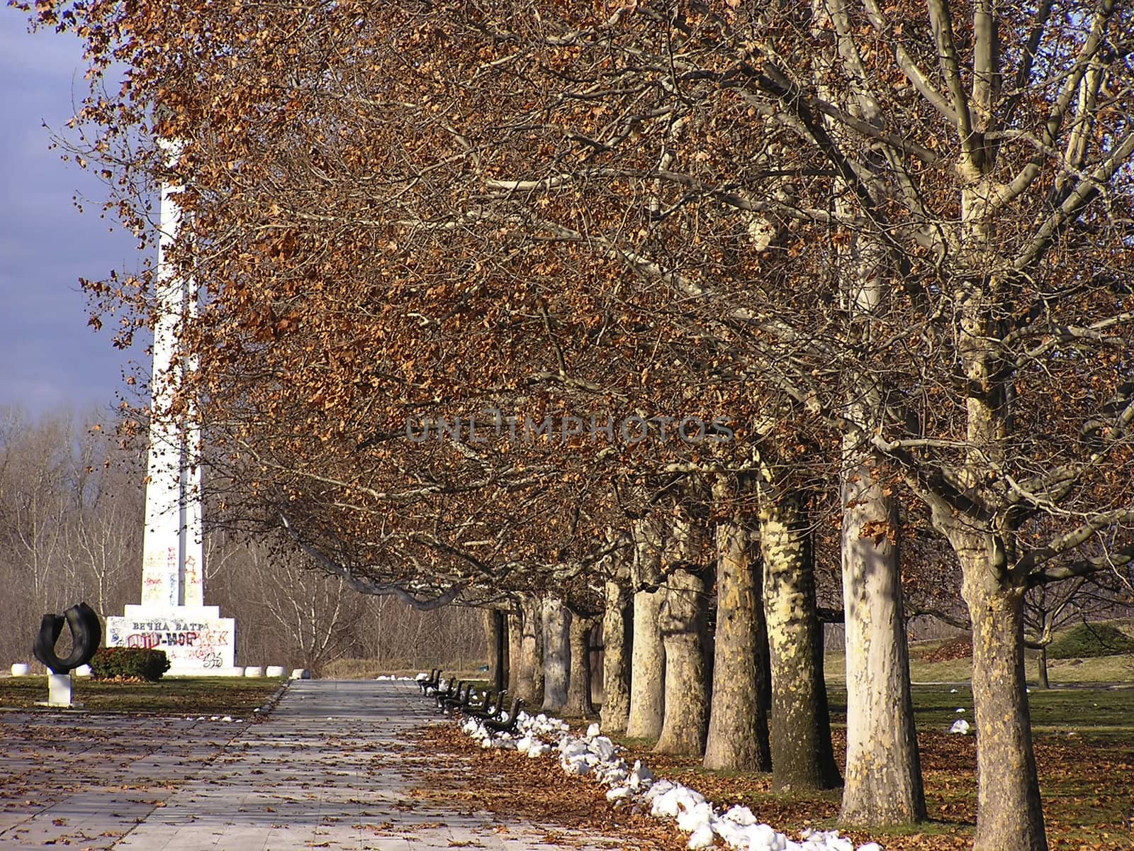 Tree alley in public park at Belgrade, autumn urban landscape.