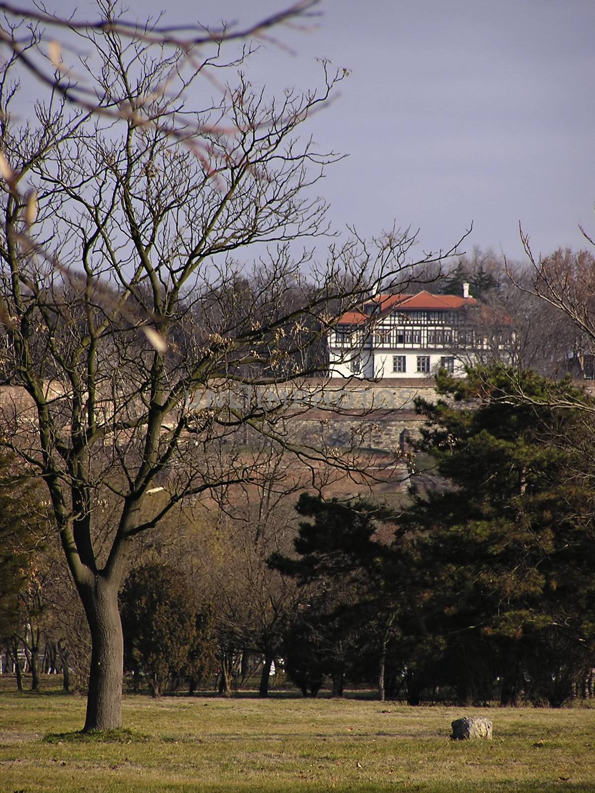 House at top of hill, leafless branches in front.