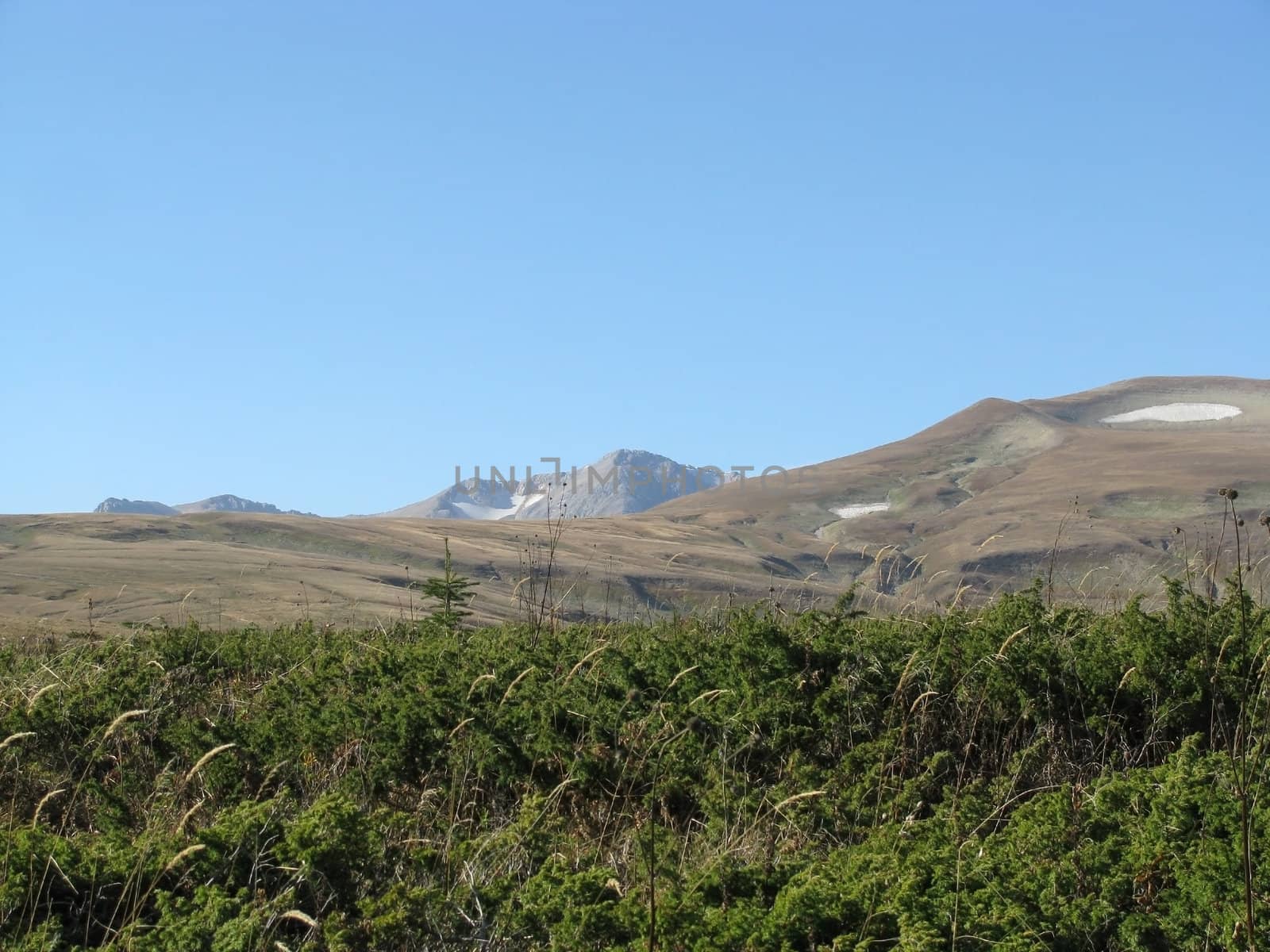 A plateau of Lago-Naki; the main Caucasian ridge