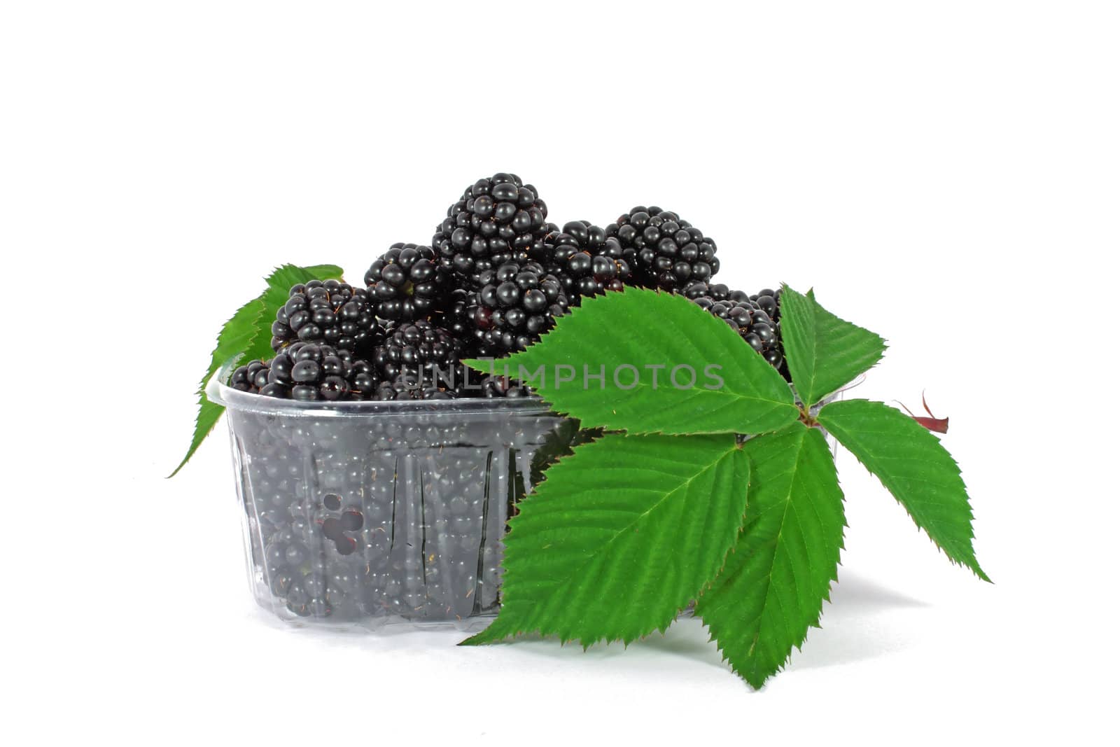 Fresh blackberries in plastic container on white background