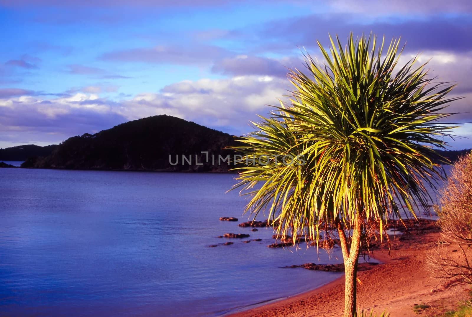 Evening light over the Bay of Islands in northern New Zealand.