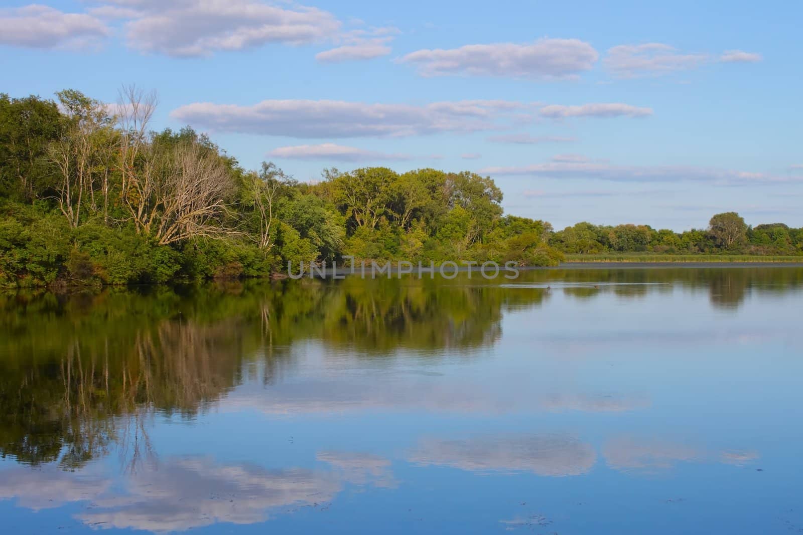 Rock Cut State Park - Illinois by Wirepec