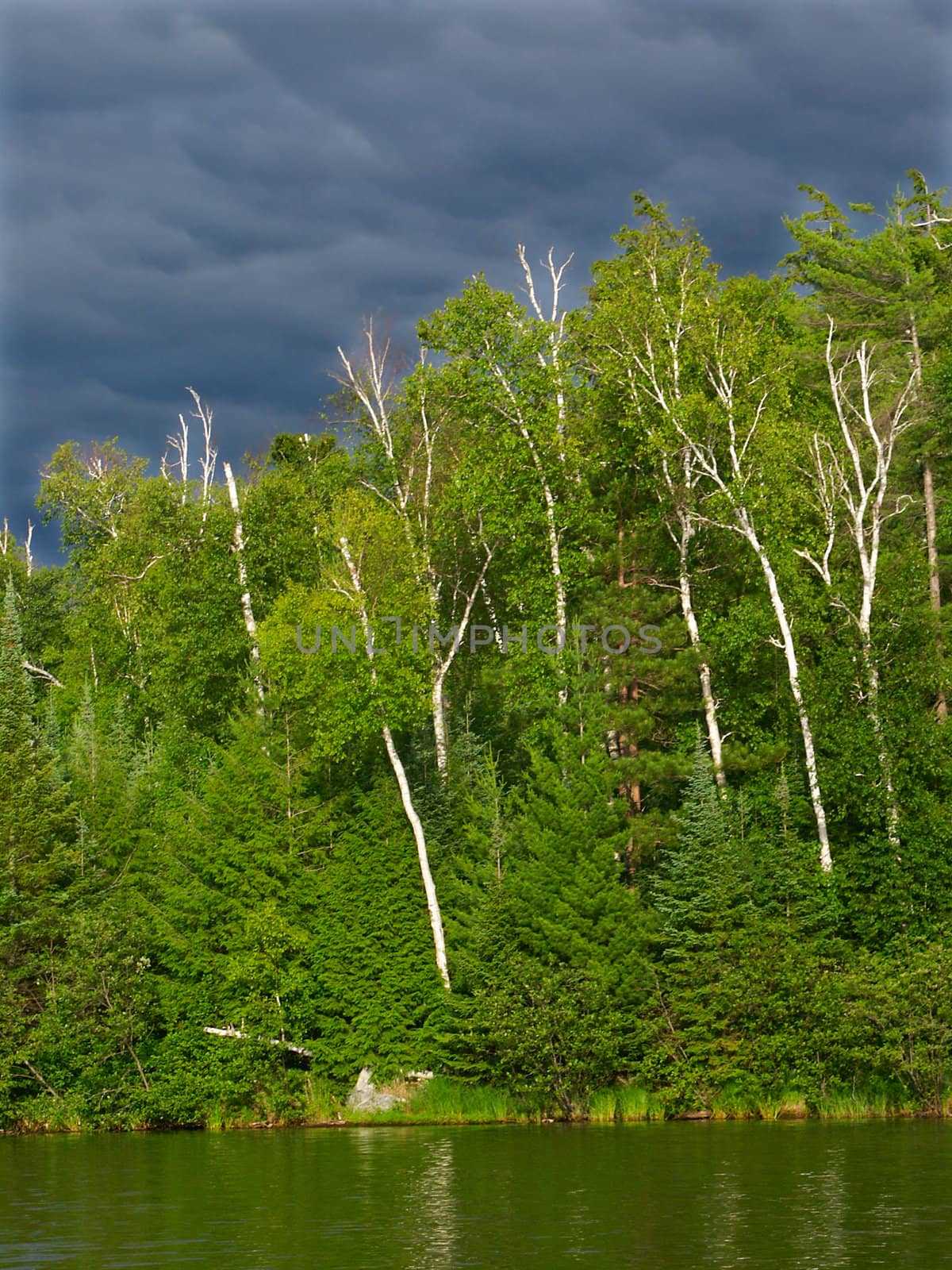 Evening view of Sweeney Lake in the beautiful northwoods of Wisconsin.