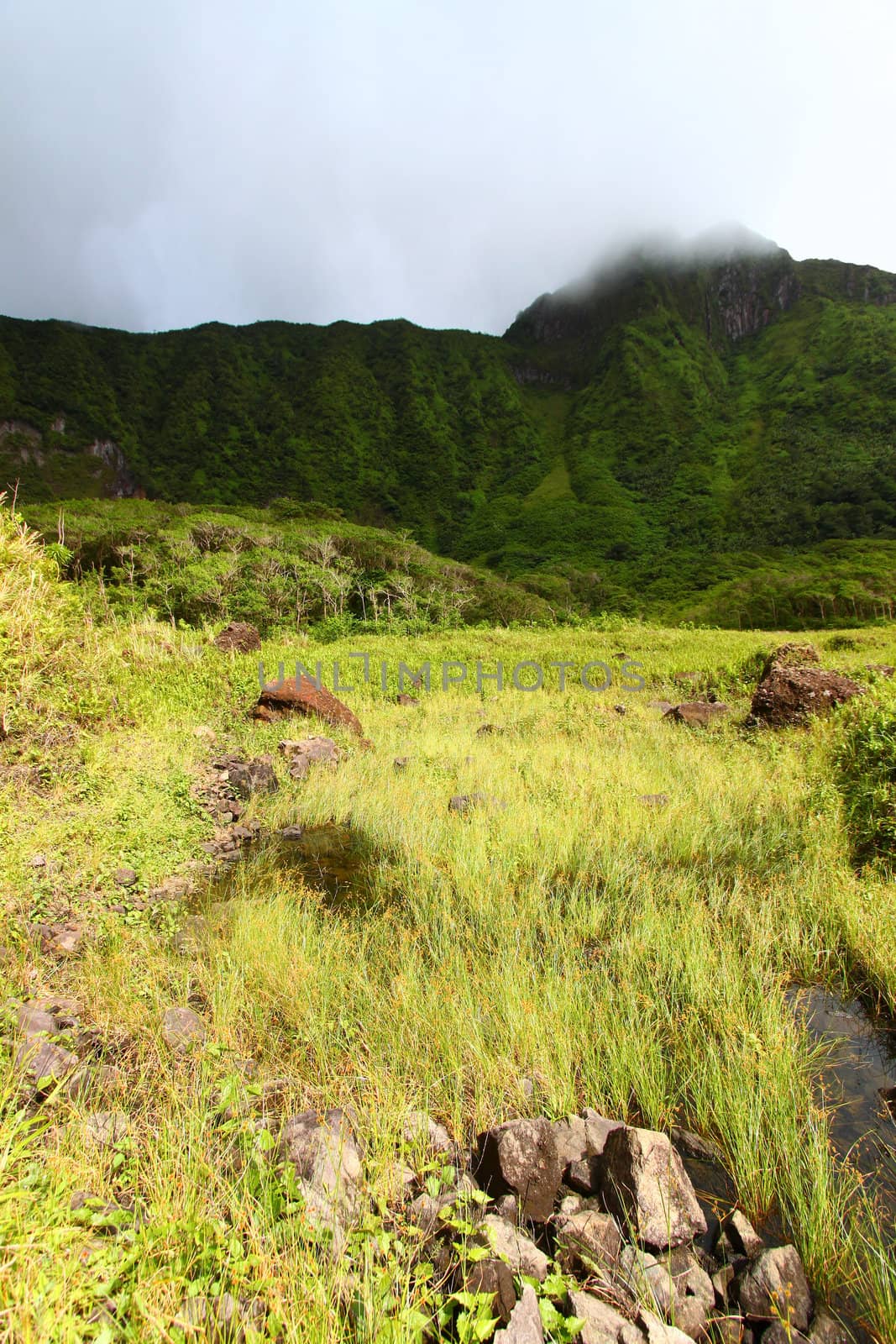 View of Mount Liamuiga from the bottom of The Crater of St Kitts.