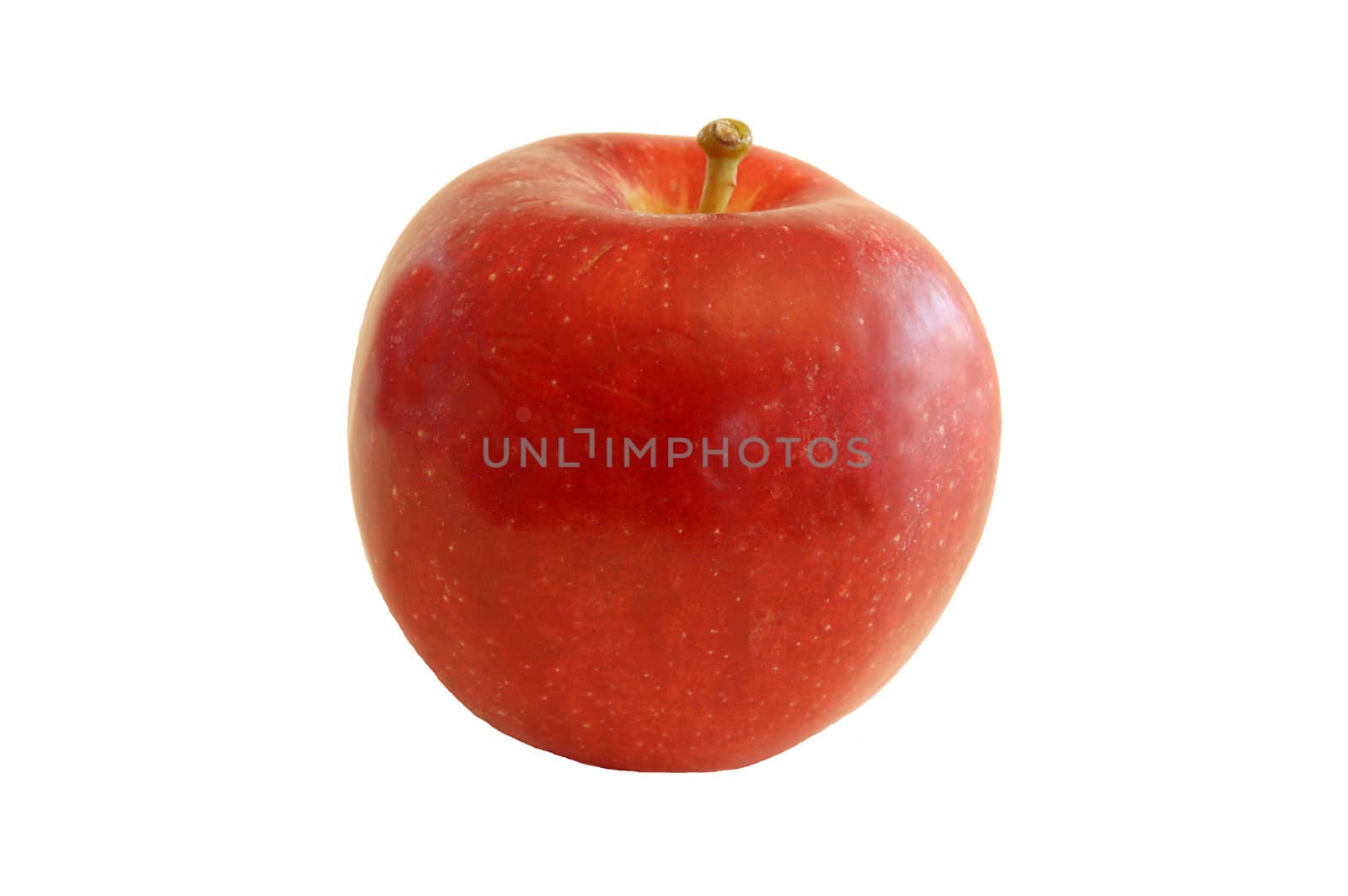 one apple isolated on white