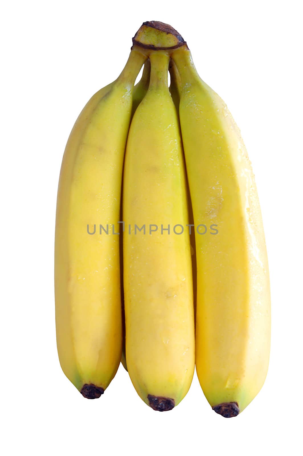 bananna bunch isolated on white