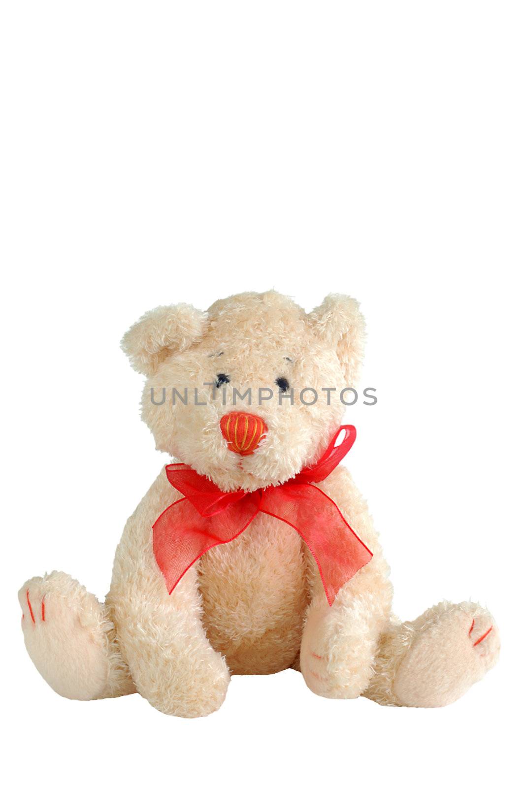 stuffed teddy bear isolated on white
