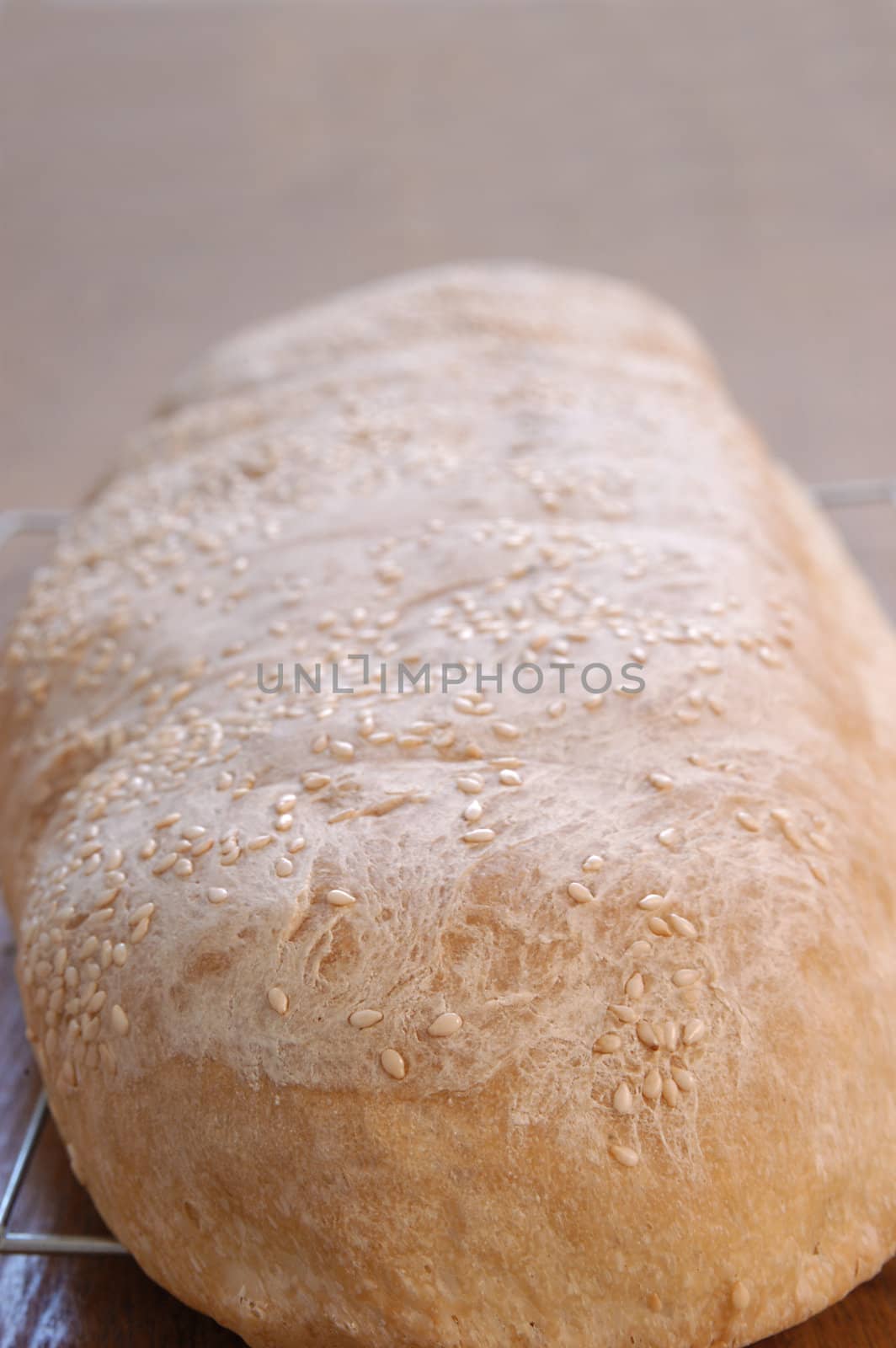 bread loaf close up