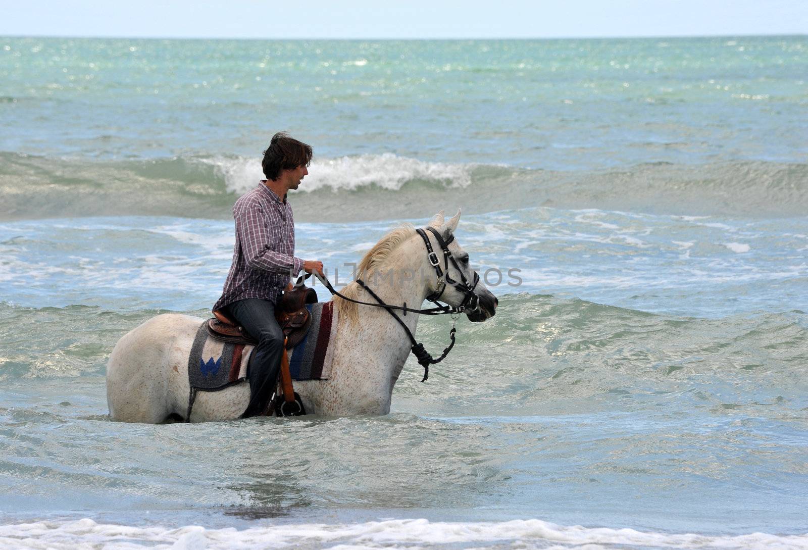 man and horse in sea by cynoclub