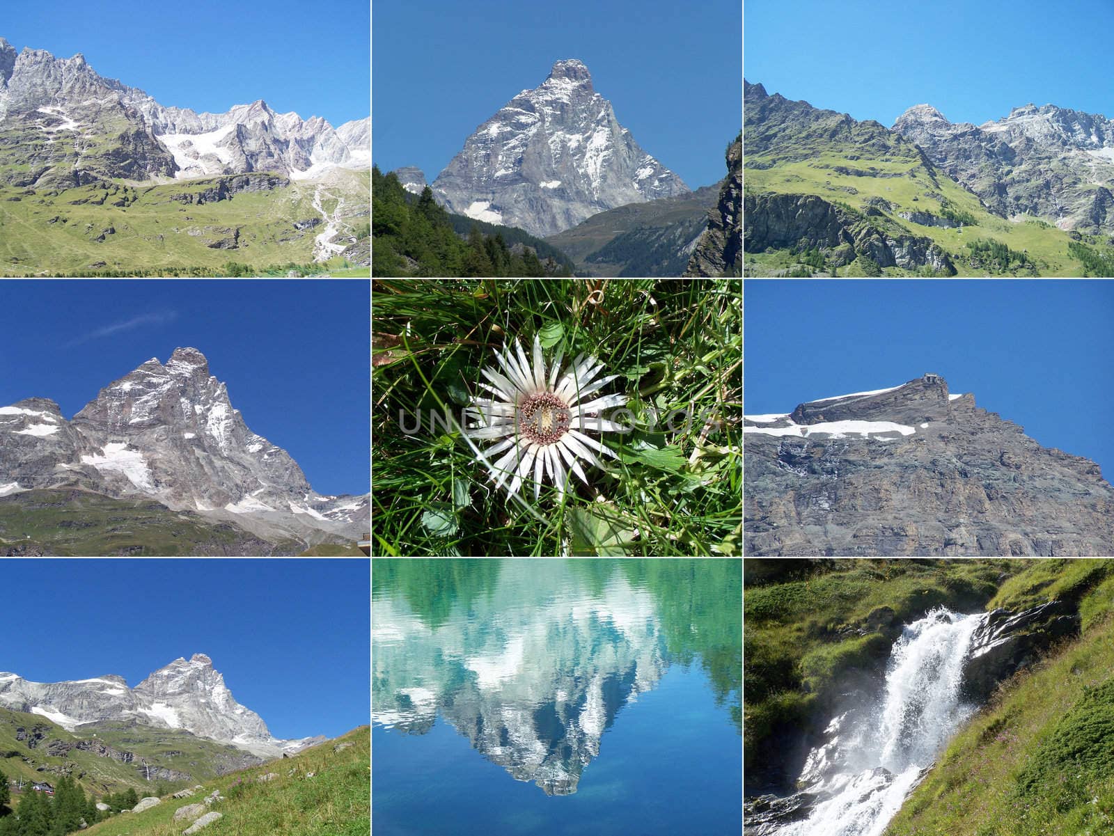 Alps mountains collage with Cervino Matterhorn mountain, waterfalls and Edelweiss flower