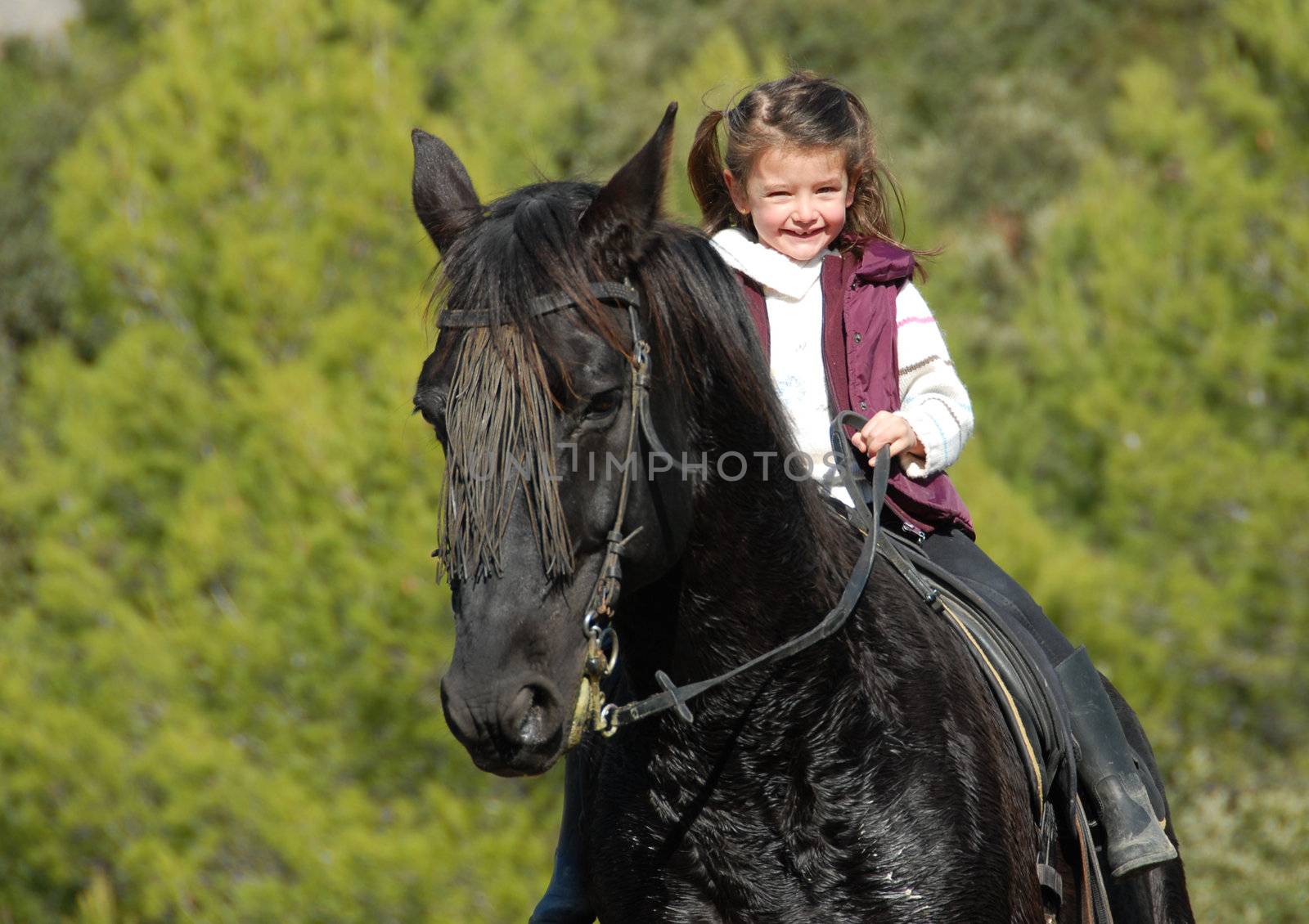 little smiling girl on her black stallion. focus on the child