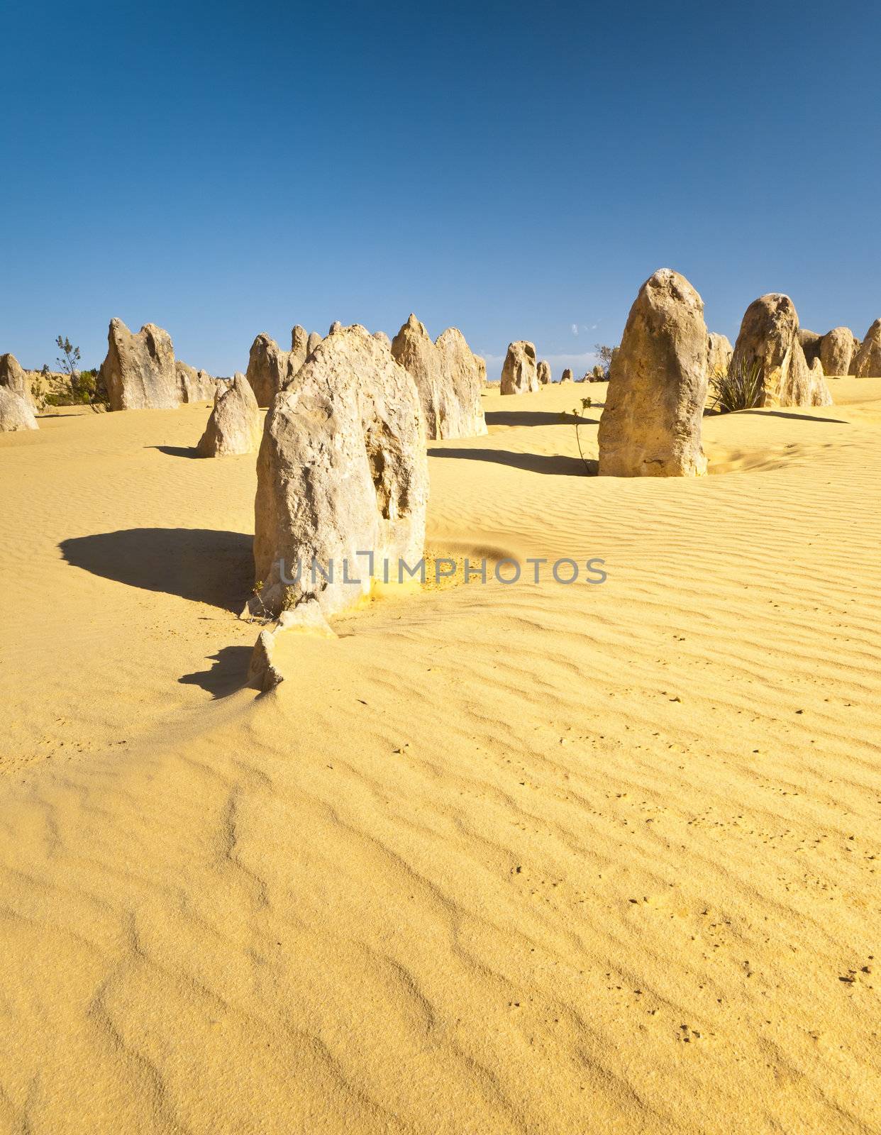 An image of the strange desert Pinnacles in Australia