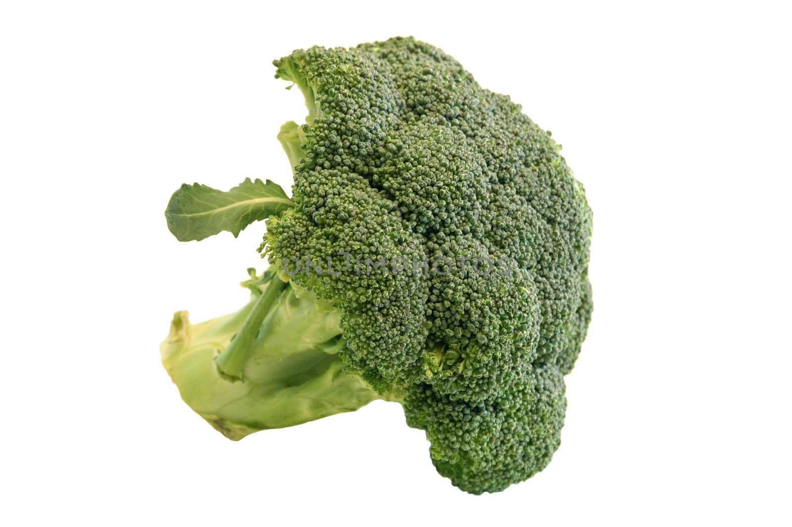 Broccoli by zenpix