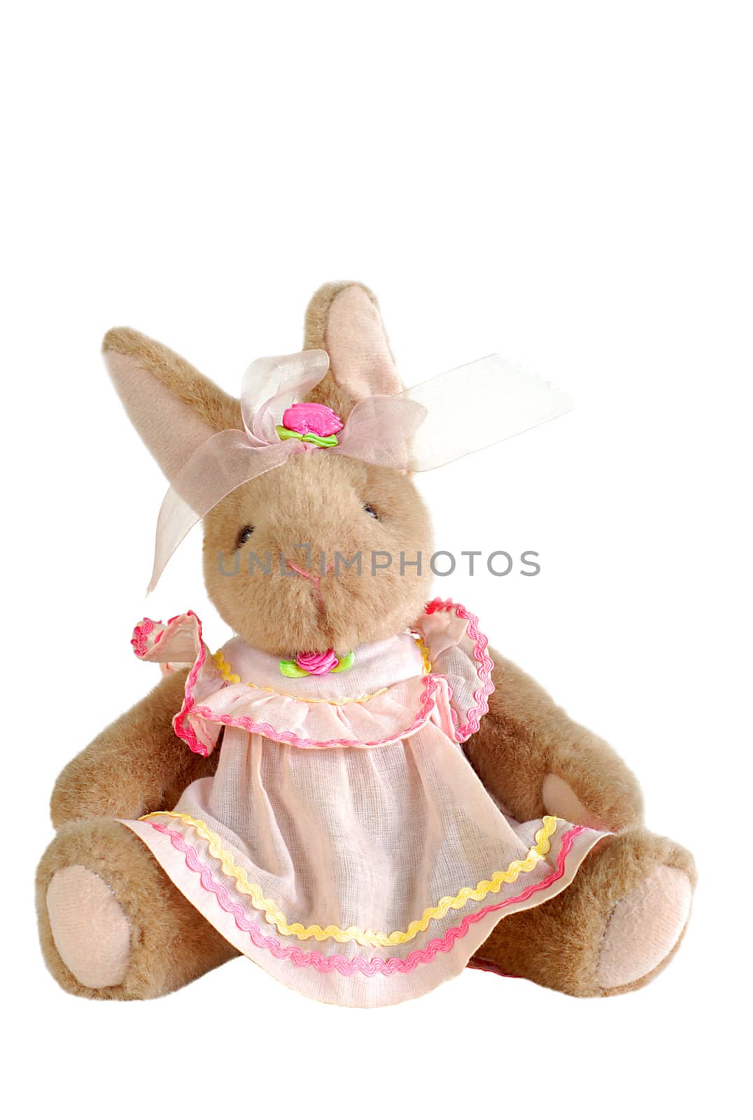 easter bunny wearing a dress isolated over white