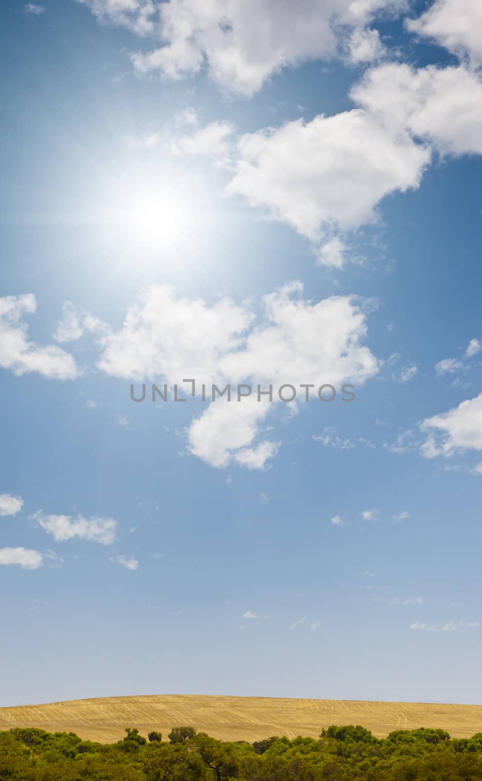 An image of a bright sun background