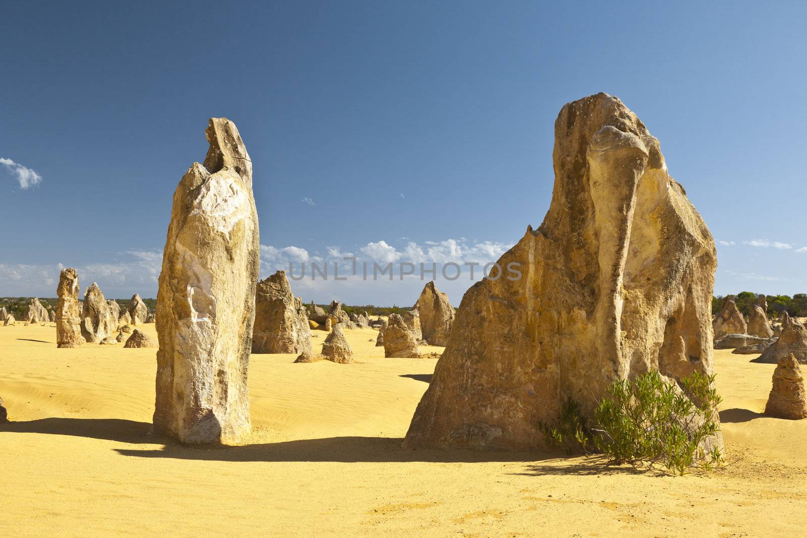 An image of the strange desert Pinnacles in Australia