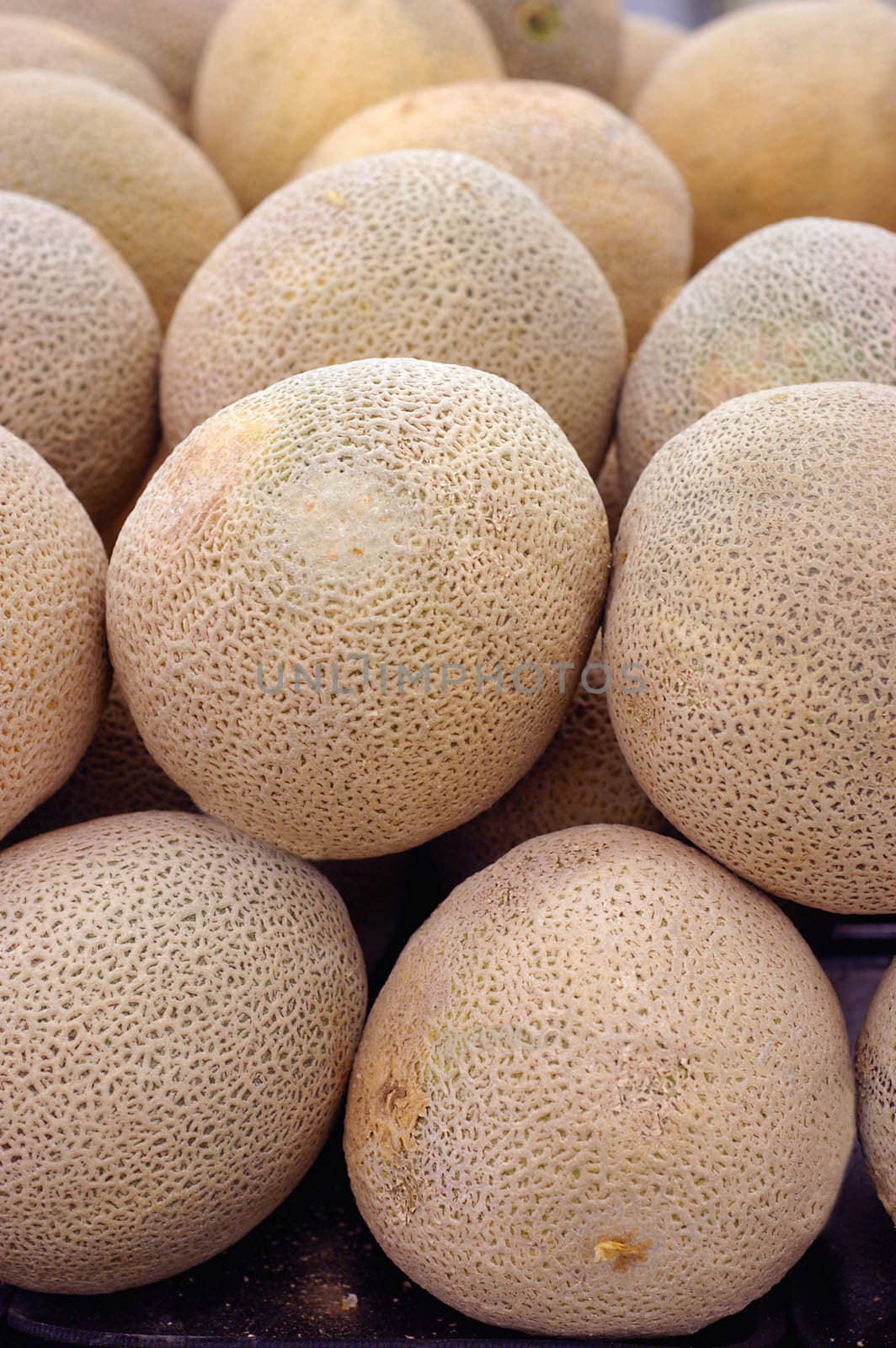 Cantaloupe melon by zenpix