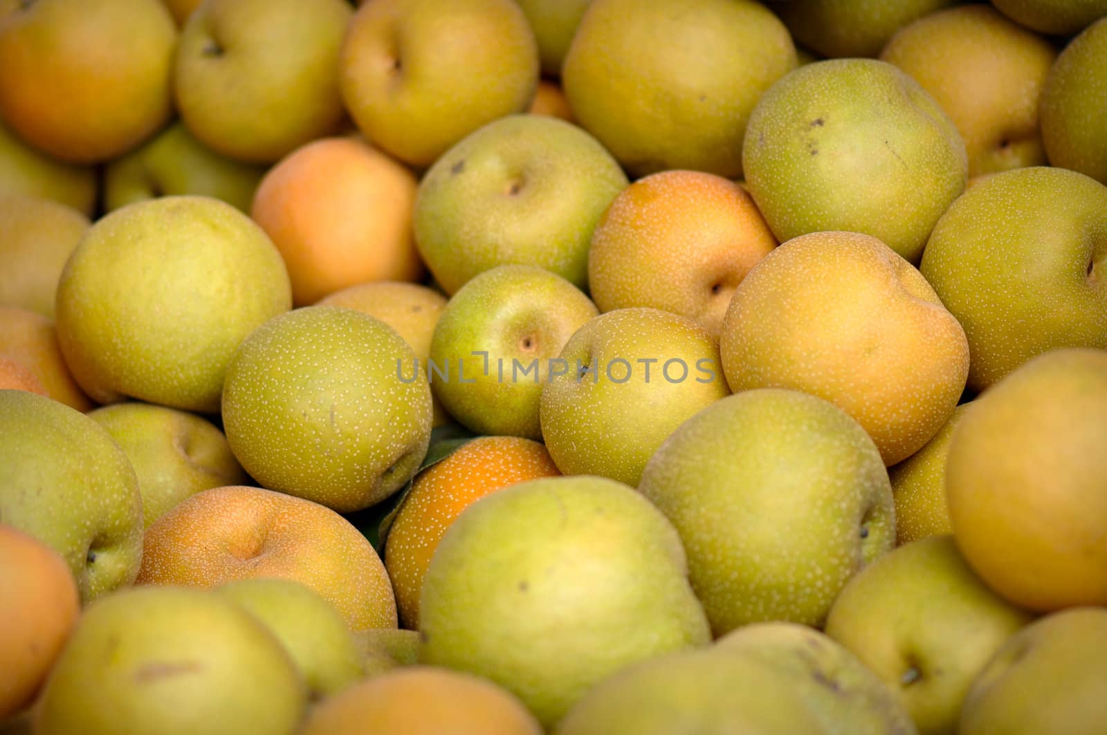 Asian Pears