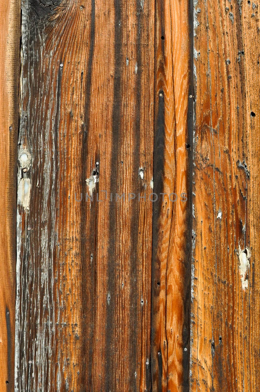 Burned Old Wood Grunge Background