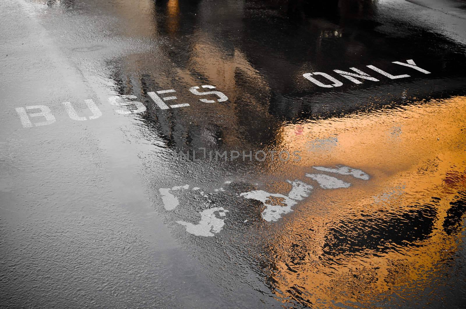 Buses Only Parking Spot Reflection to pick up children after rainy day