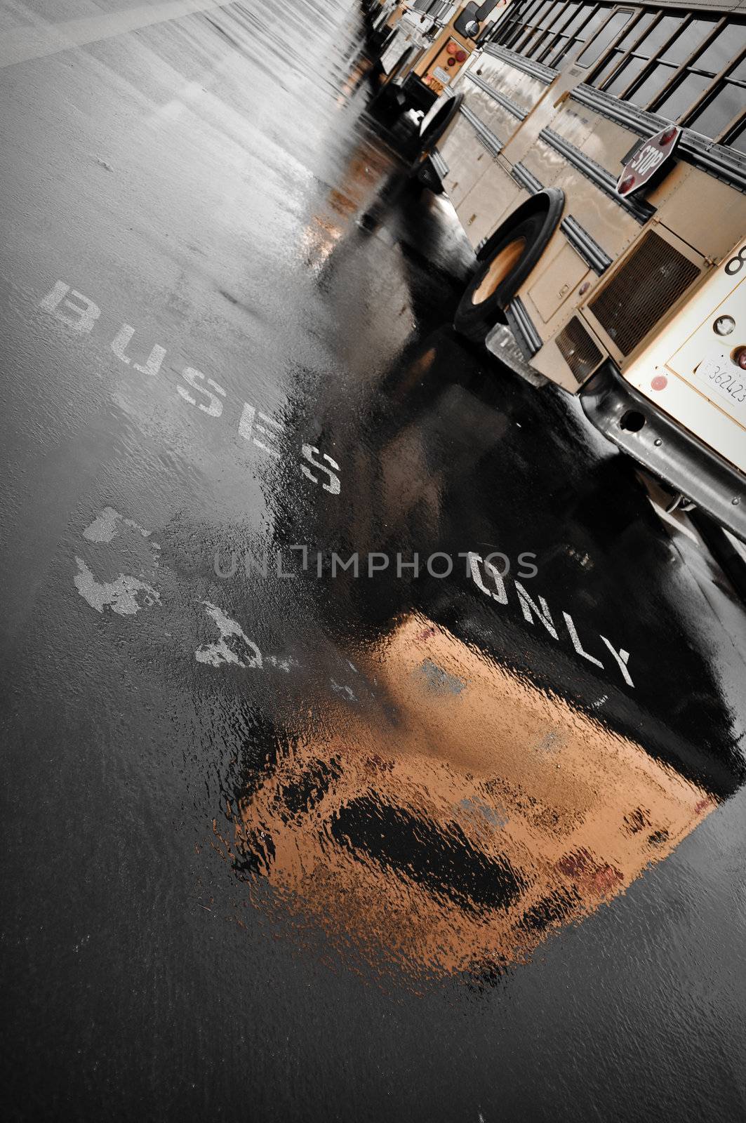 School Bus Parking Spot in Rain