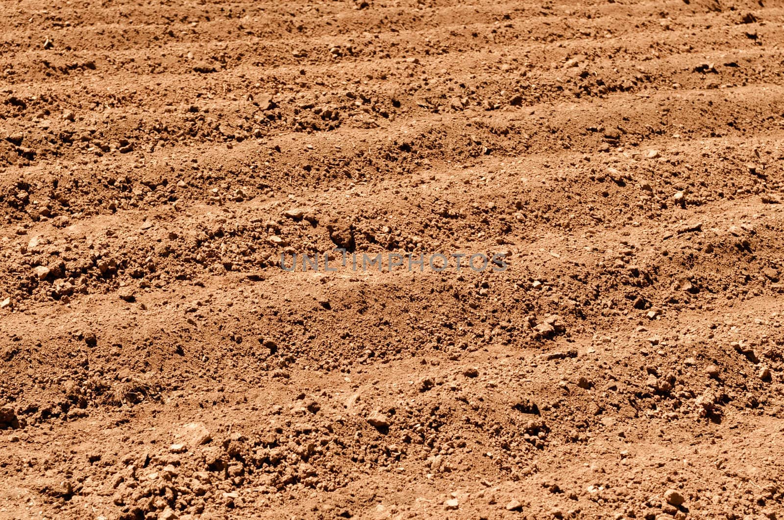 Plowed Dirt for Agriculture Background