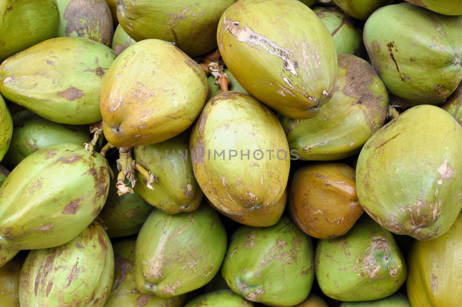 Coconuts for Sale on Street in India
