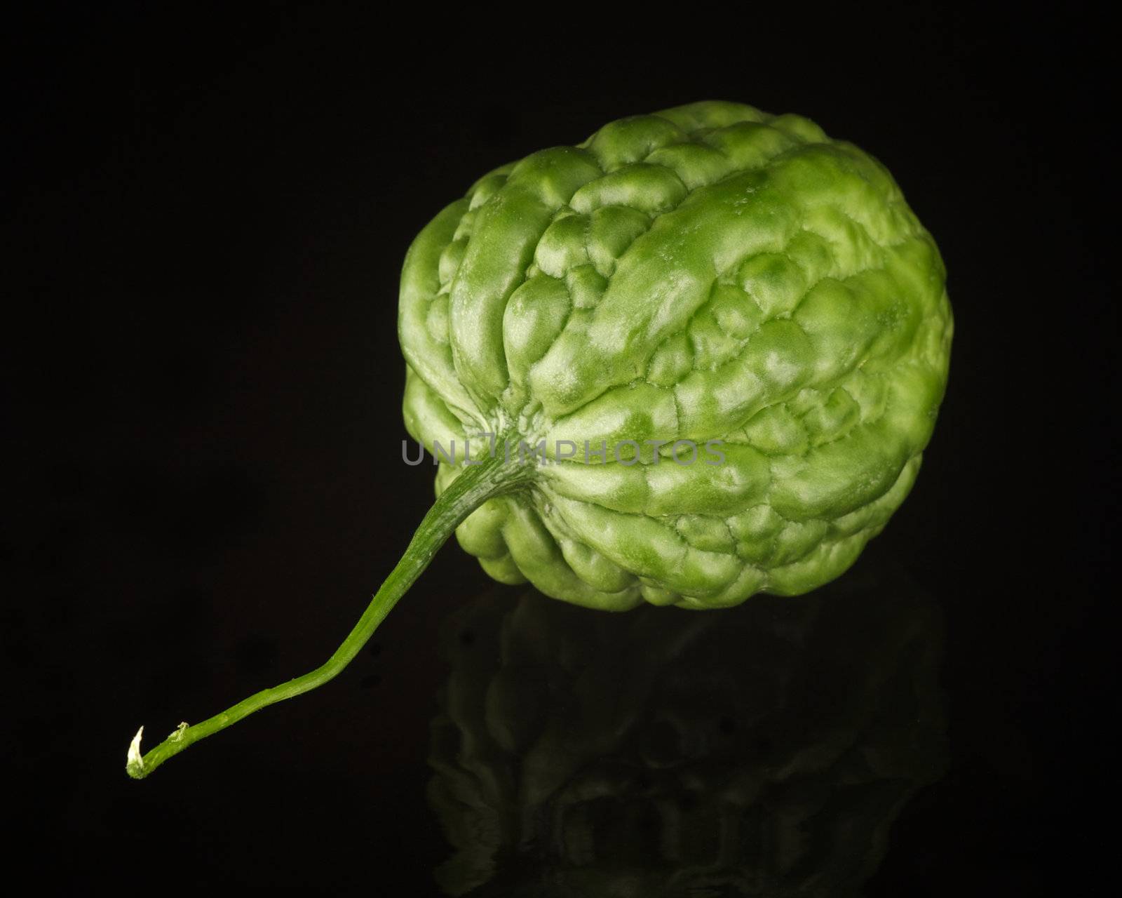 Bitter Melon isolated on black with reflection